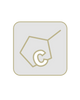 Ascorbic Acid (Vitamin C)
