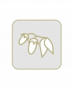Gojibeere